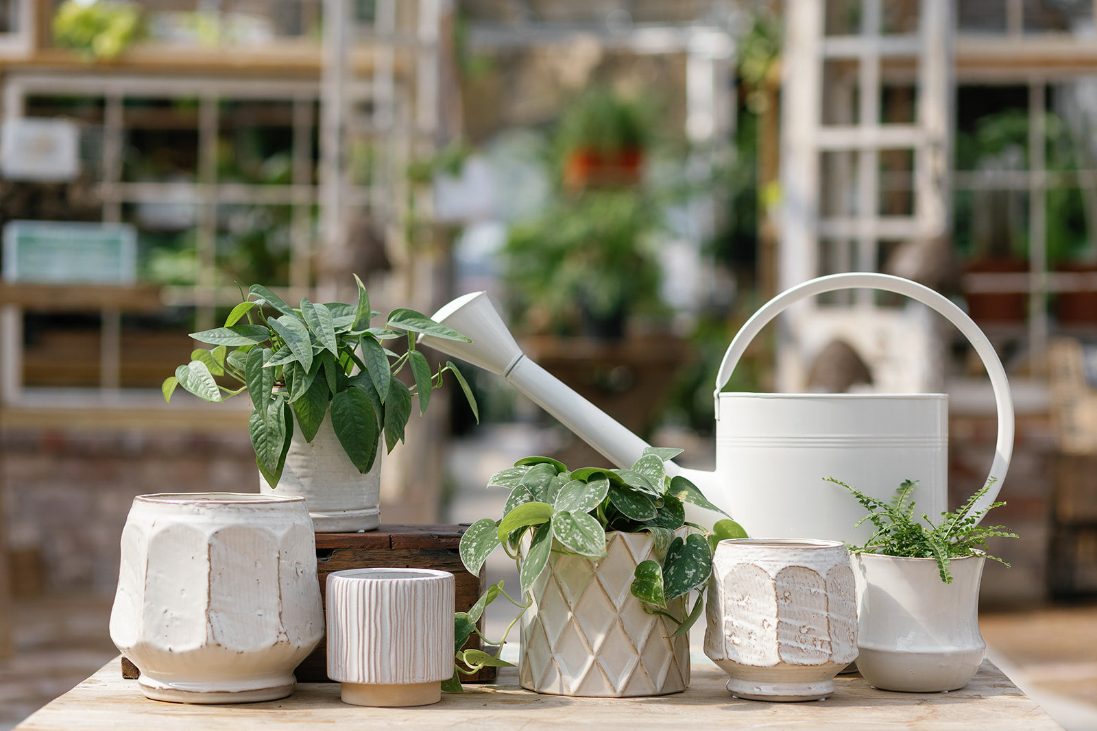 Indoor Planters