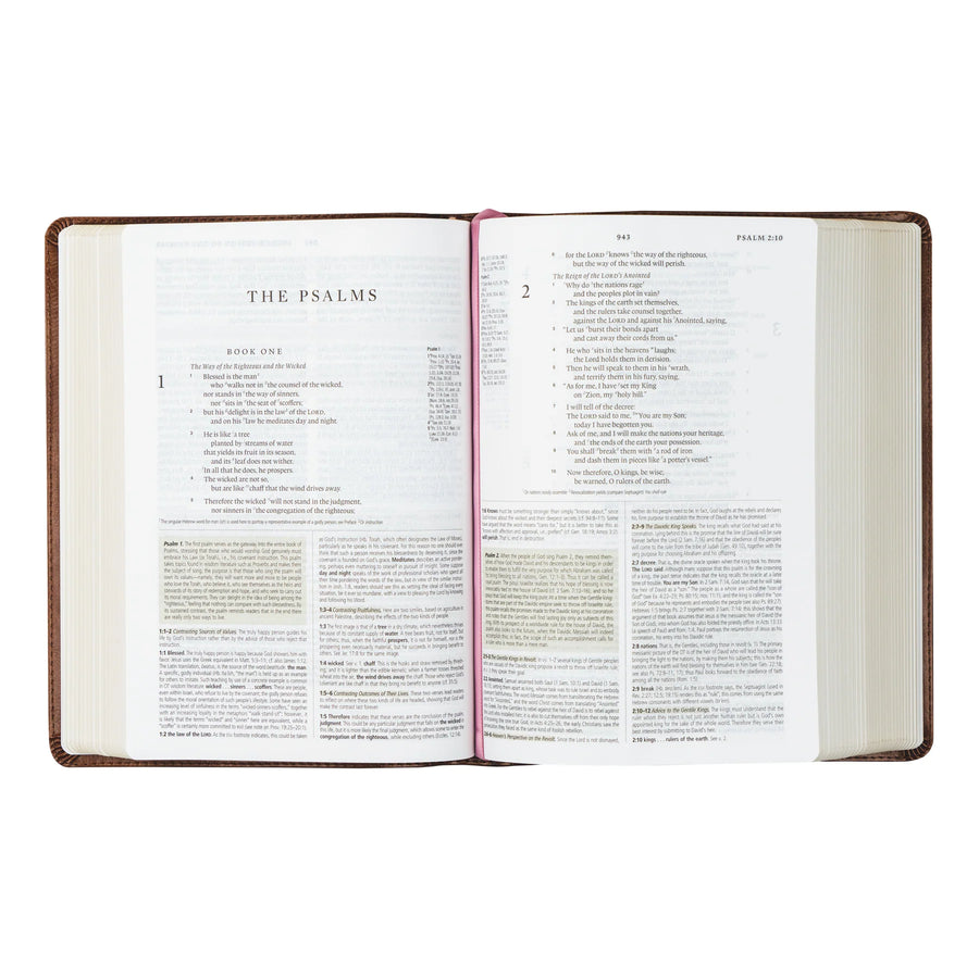 Aurora ESV Study Bible