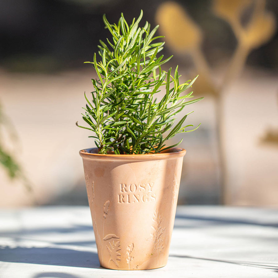 Basil Orange Garden Pot Candle