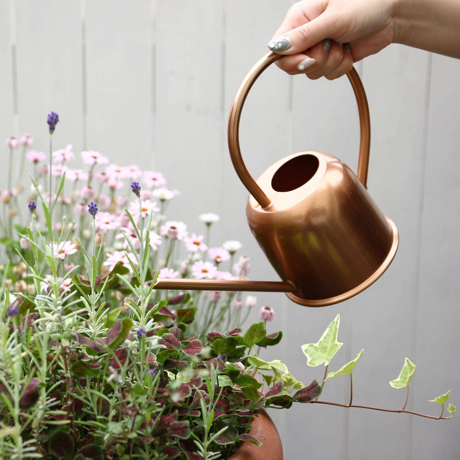 Copper Watering Can 0.6L