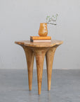 Teakwood Root Live Edge Side Table