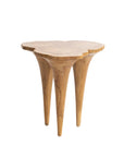 Teakwood Root Live Edge Side Table