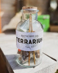 DIY Terrarium Kit