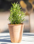 Dirt Garden Pot Candle