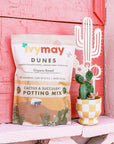 Dunes Cactus and Succulent Potting Mix