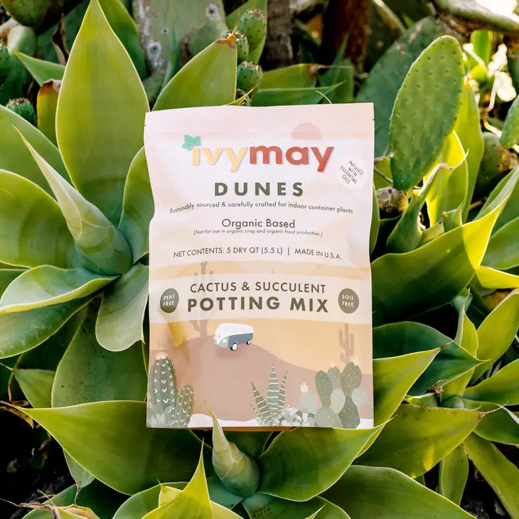 Dunes Cactus and Succulent Potting Mix