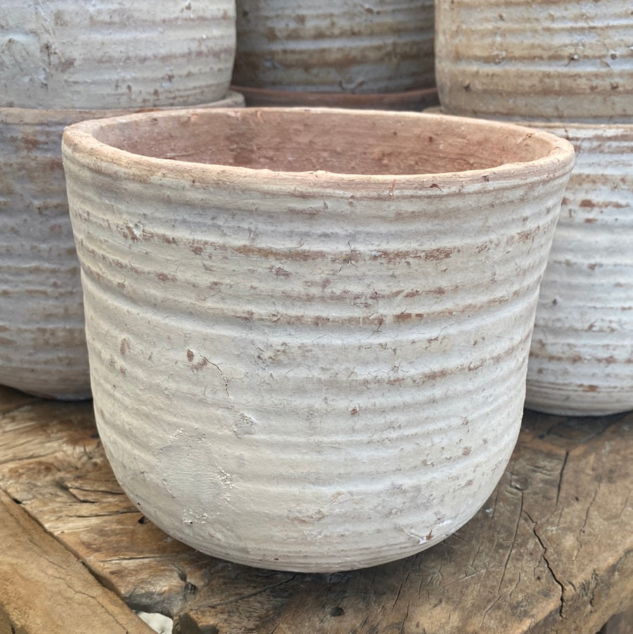 English Tumbled Pot Heirloom White