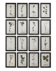 Floral Art Framed Wall Decor