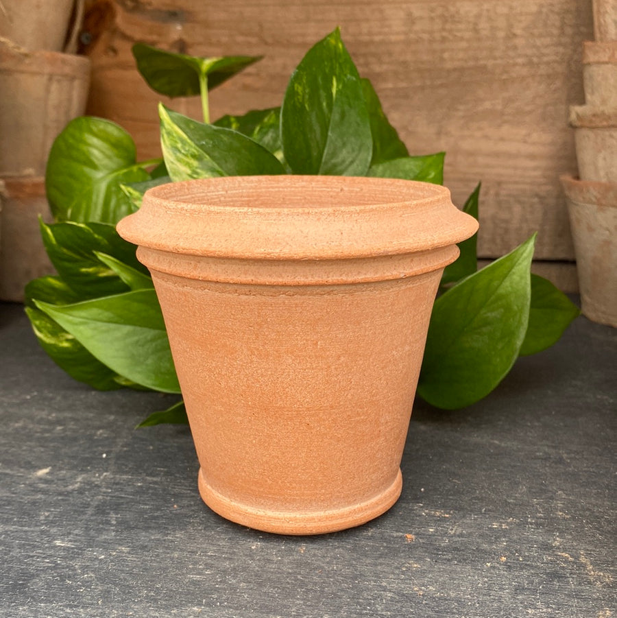 Herb Natural Pot