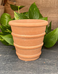 Herb Natural Pot