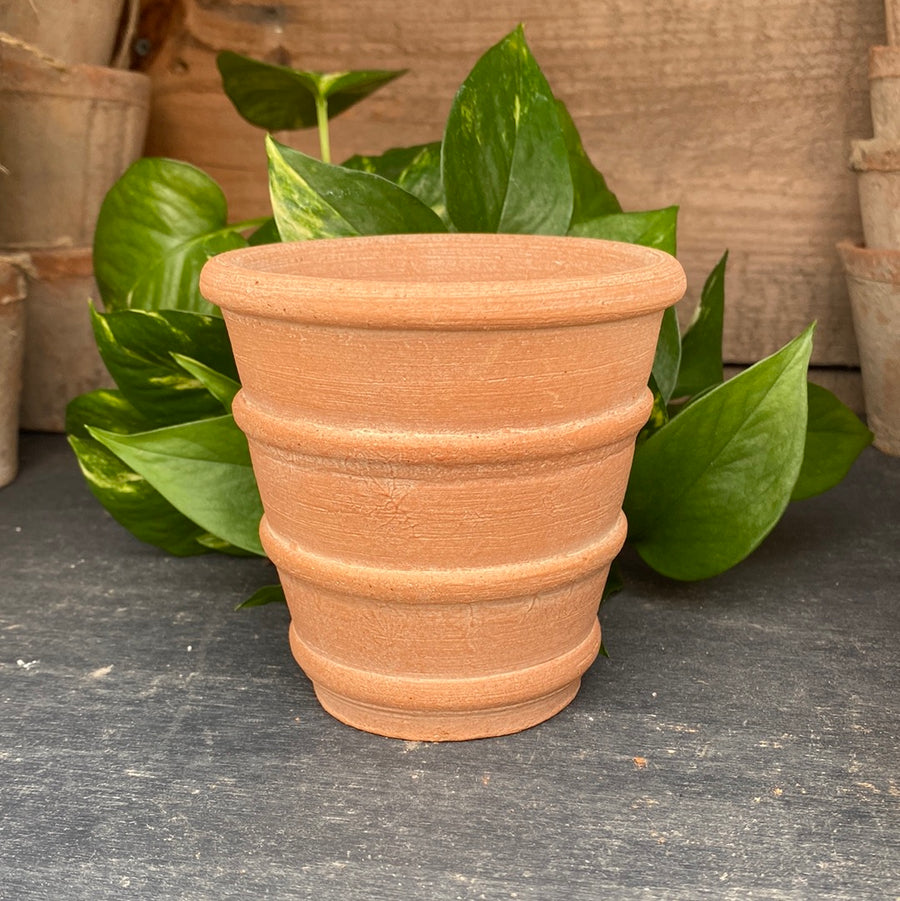 Herb Natural Pot