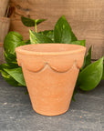 Herb Natural Pot