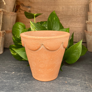 Herb Natural Pot