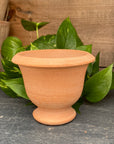 Herb Natural Pot