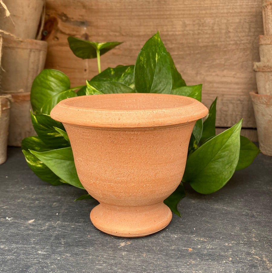 Herb Natural Pot