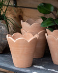 Surrey Natural Pot