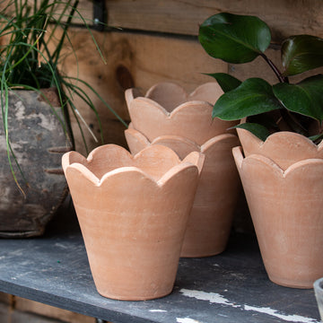 Surrey Natural Pot