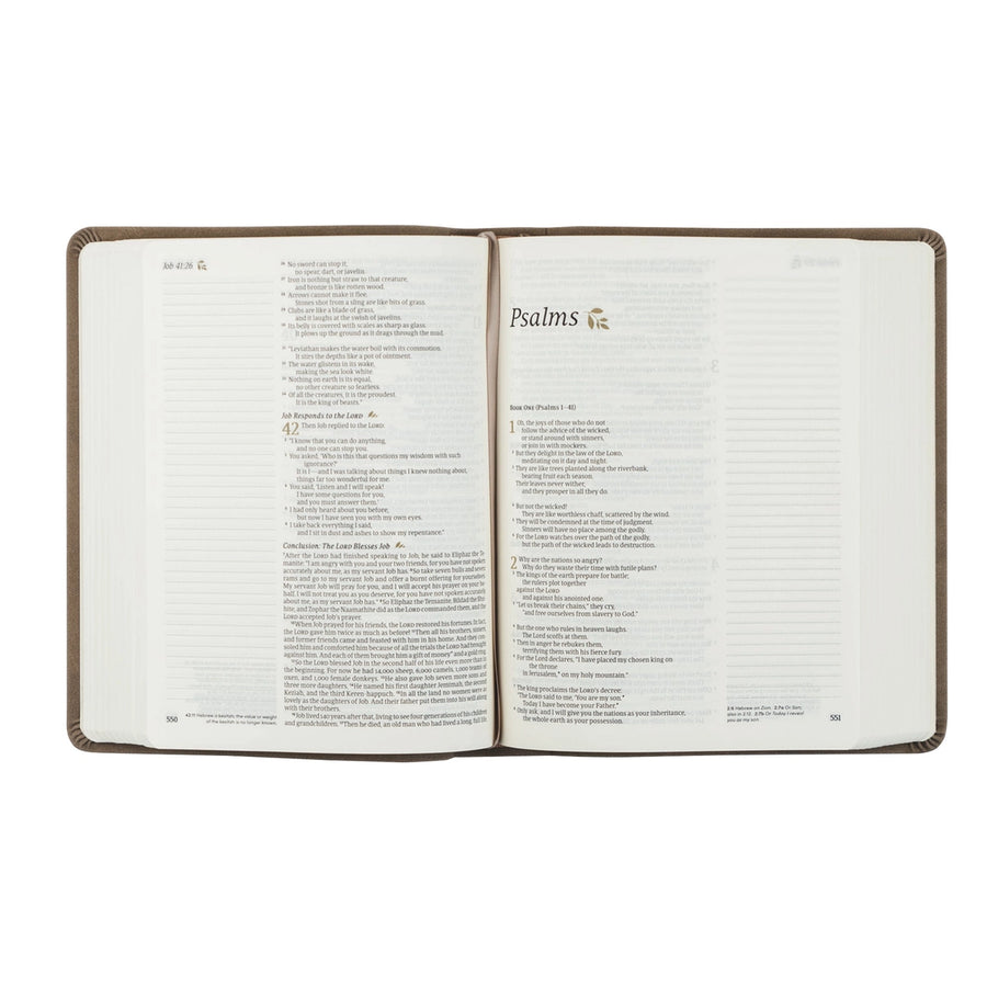 NLT Notetaking Bible - Marlo Theme