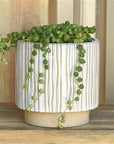 Ramos Vertical Stripe Stoneware Cachepot