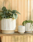 Ramos Vertical Stripe Stoneware Cachepot