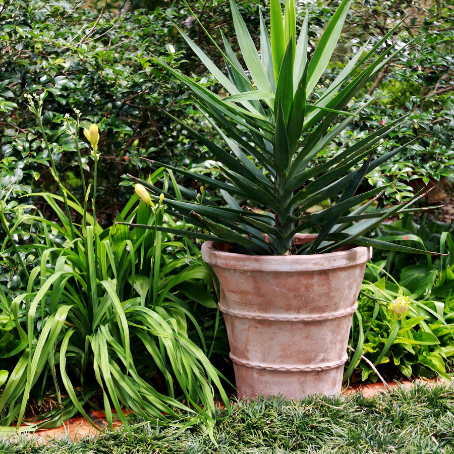 Santorini Planter Vietnamese Rustic