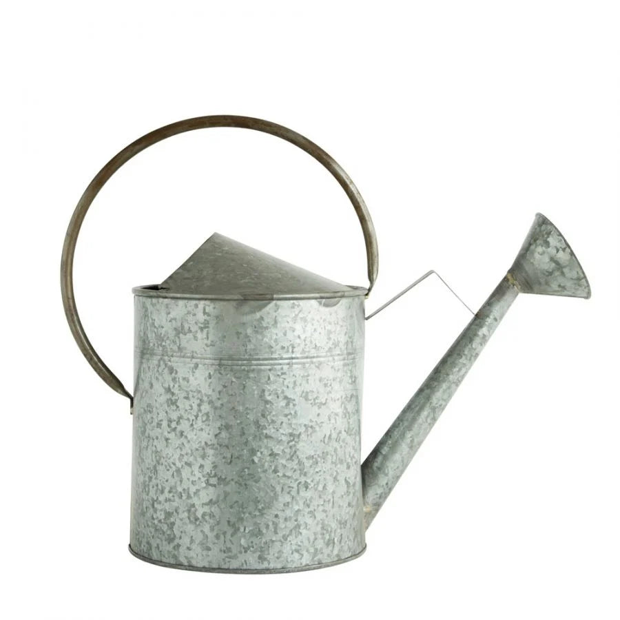 Zinc Watering Can