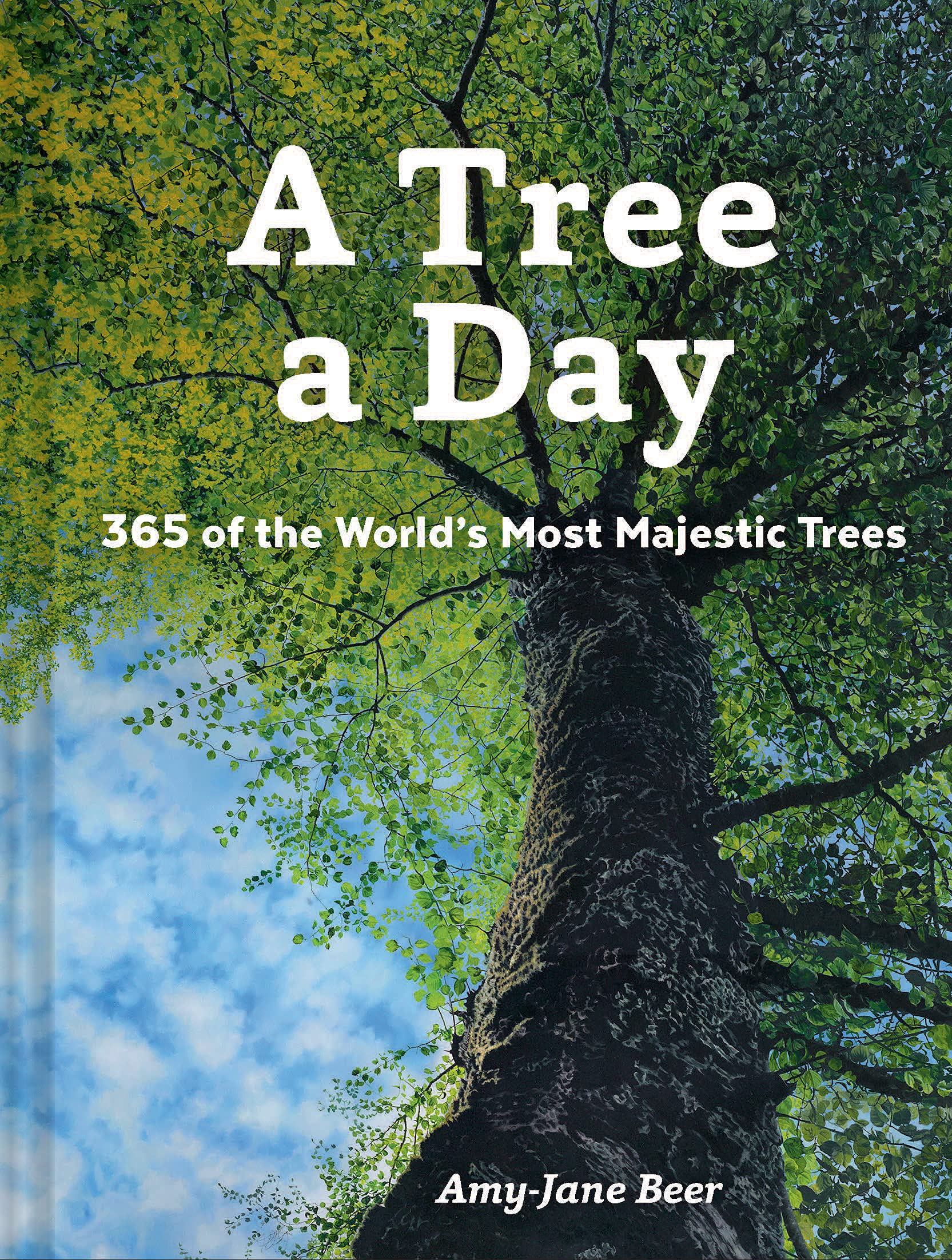 A Tree a Day