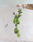 Green Hand Blown Glass Vase with Hanger